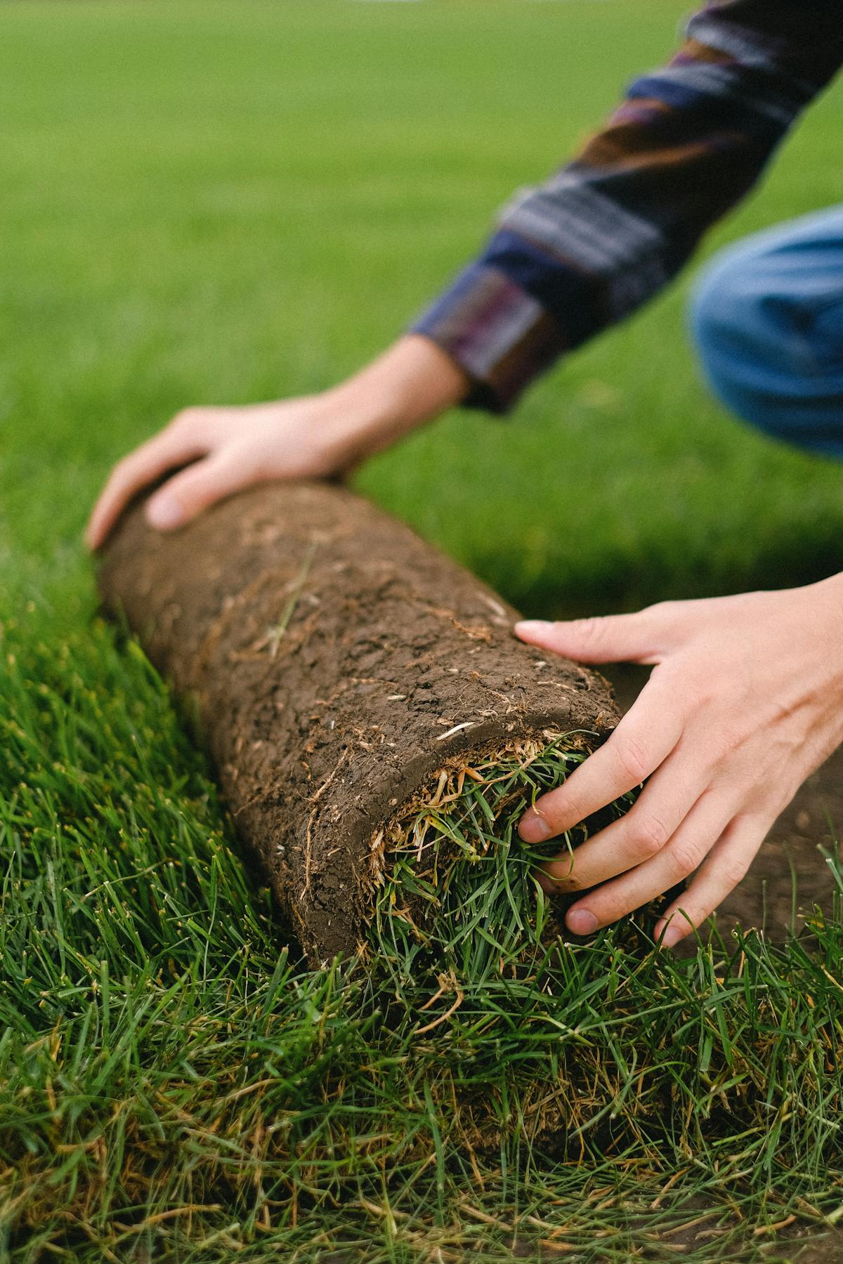 Landscaping and sod installation New Brunswick