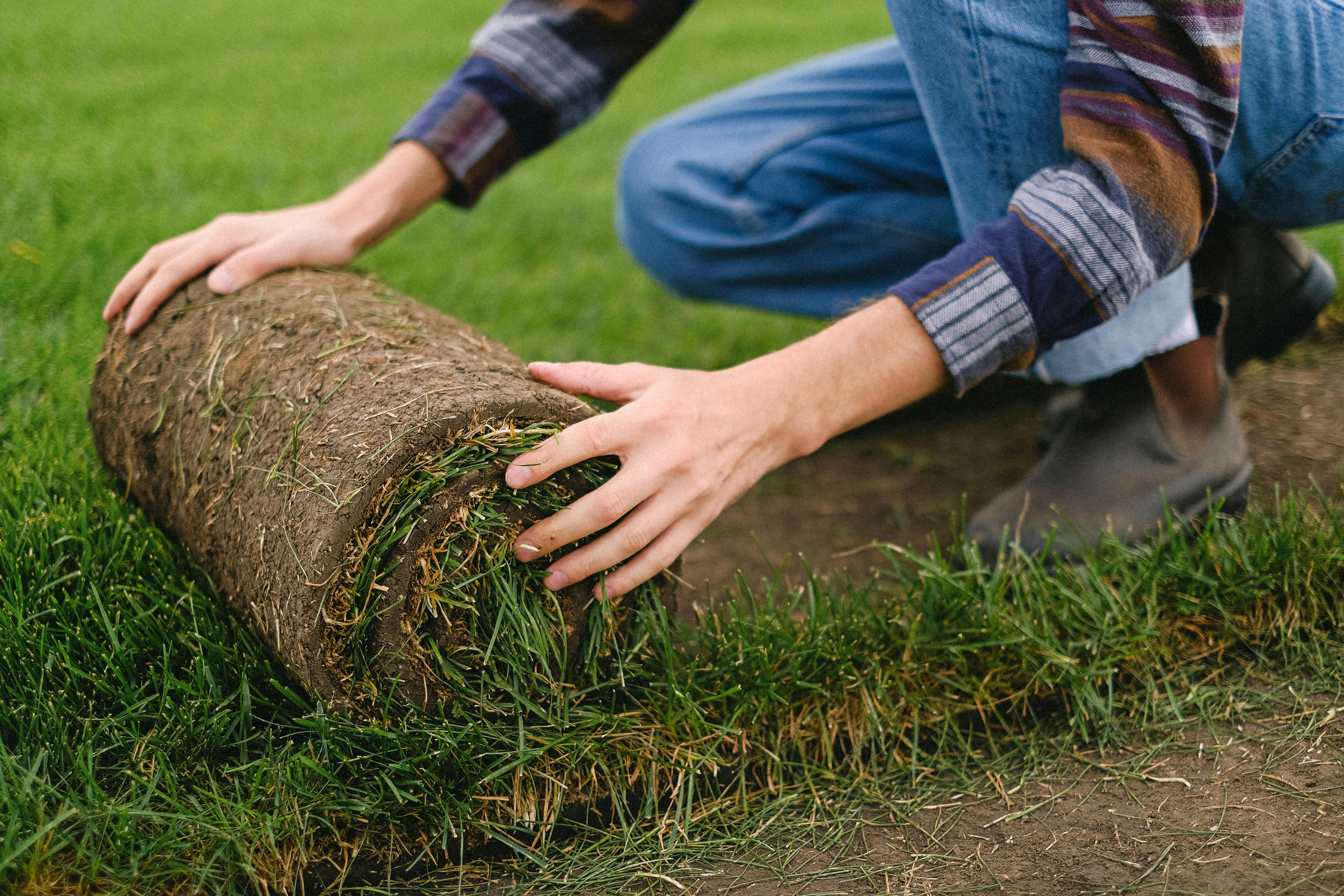 Fresh sod installation New Brunswick — Glen & Dale Outdoor Services